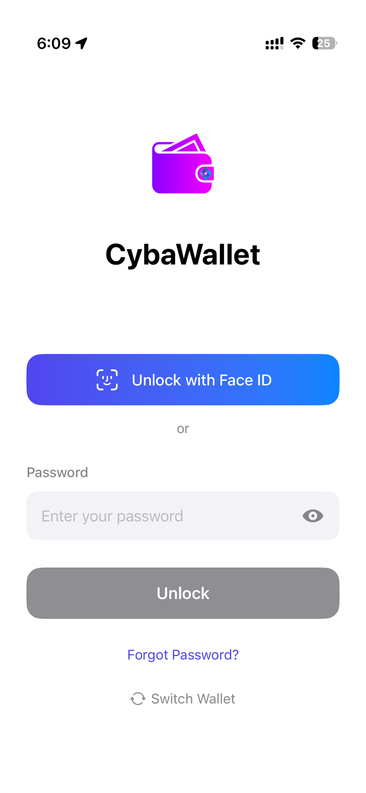 Login / unlock screen